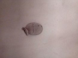 Подвеска серебряная 925 проба - 