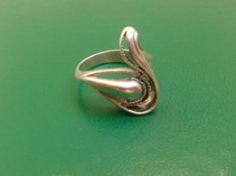 Серебряное кольцо - Донецк
