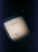 Серебряные сережки - Днепр