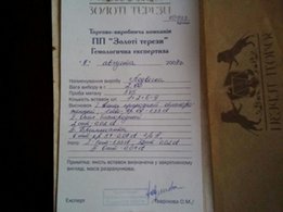 Подвеска золото , топаз, опалы, брюлики- с документами и экспертизой - Одесса