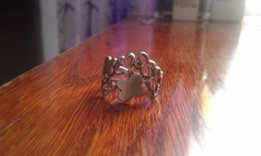 Серебрянное кольцо - Черновцы