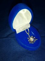 Серебряный кулон паучок на паутинке - Мелитополь