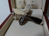 Серебряная цепь - Ильичёвск