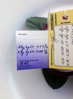 Бриллиантовое кольцо цветок - Одесса
