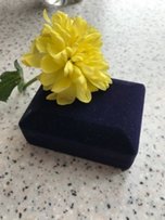Цепочка с кулоном из Paua Shell из Новой Зеландии - Каменское