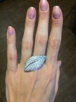 Серебряное кольцо - Житомир