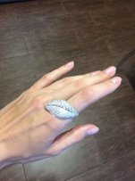 Серебряное кольцо - Житомир