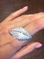 Серебряное кольцо - Житомир