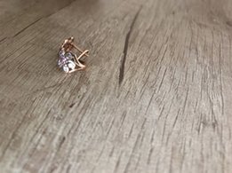 Золотые сережки для девочки - Киев