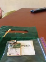 Золотое кольцо - Харьков