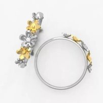 Серебрянное кольцо - Киев