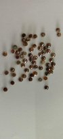 ROSE CUT DIAMONDS - Surat
